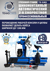 Комплект TS-56D Шиномонтажный стенд+TS-950 Балансировочный станок